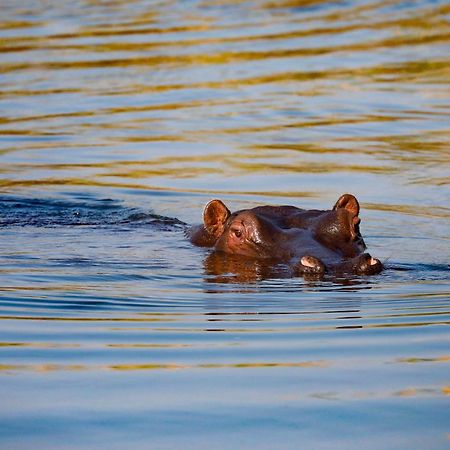 Zambezi Dusk Villa ลิฟวิงสโตน ภายนอก รูปภาพ