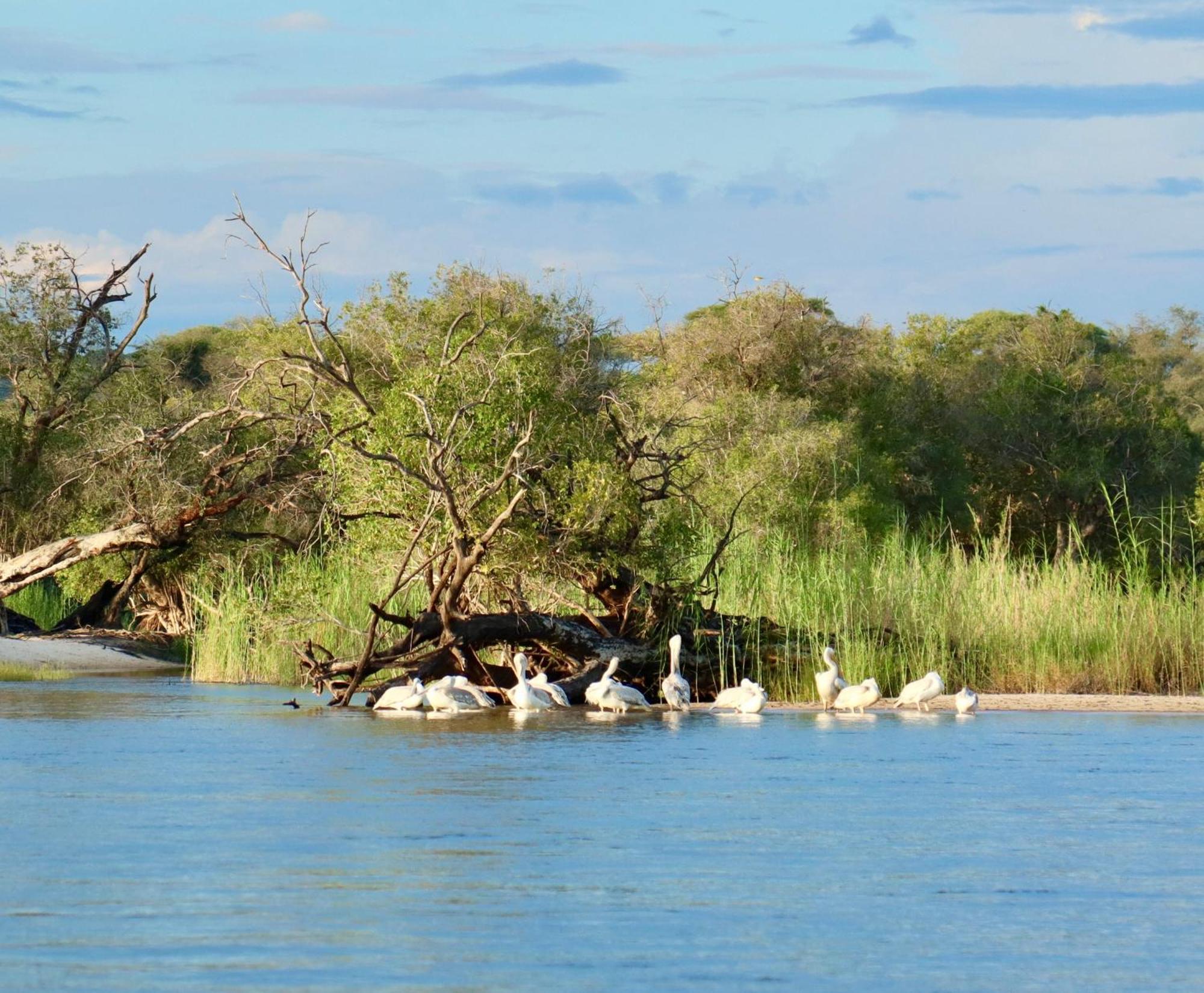 Zambezi Dusk Villa ลิฟวิงสโตน ภายนอก รูปภาพ