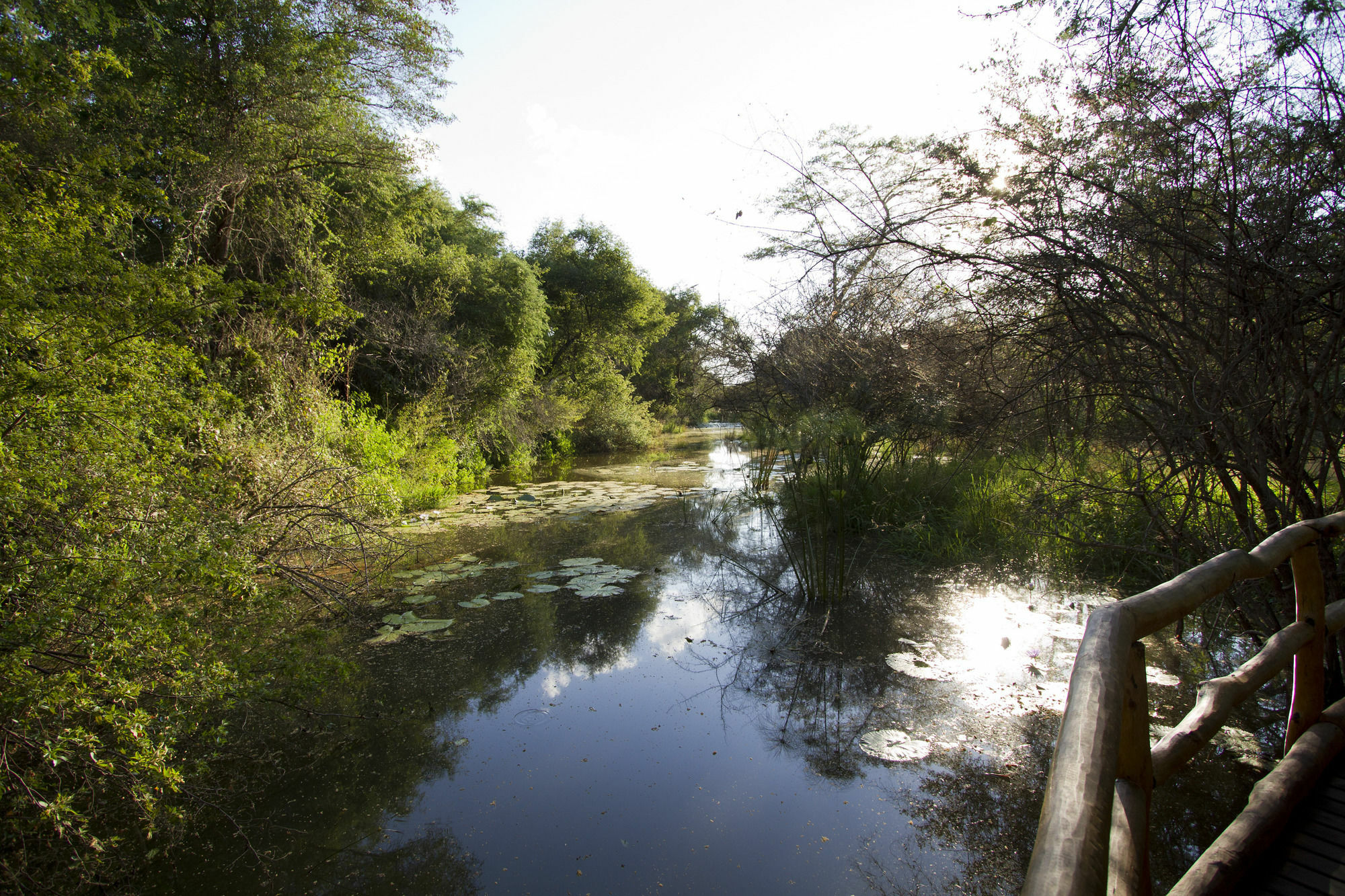 Zambezi Dusk Villa ลิฟวิงสโตน ภายนอก รูปภาพ
